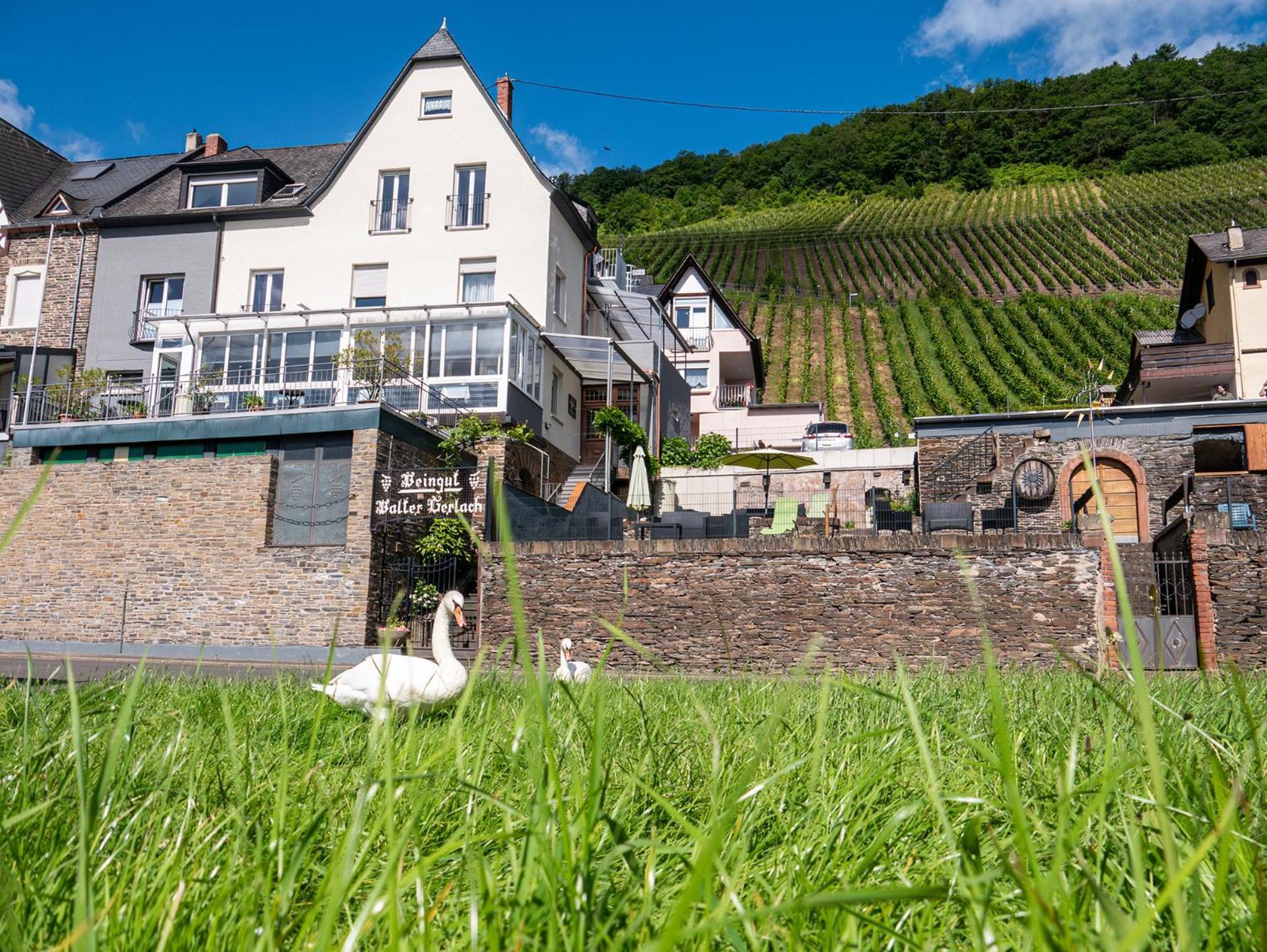 Weingut / Gästehaus Gerlach Ürzig Exterior foto